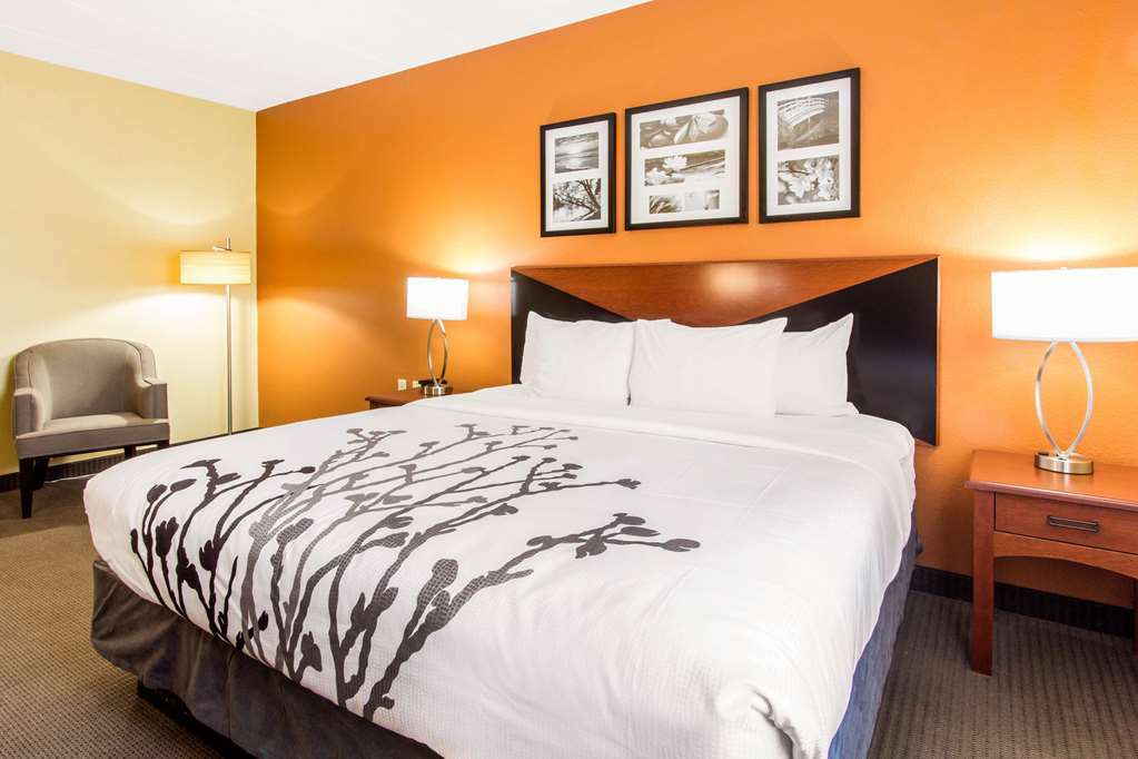 Comfort Inn & Suites Wildwood - The Villages Ruang foto